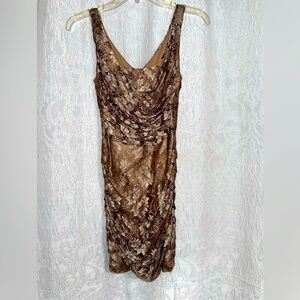 Elegant Express Brown Lace Dress